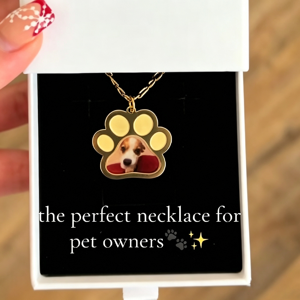 Personalized Pet Paw Colors Pr - Custom Name Necklace Stainless Steel 评论和价格